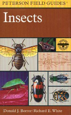 A Field Guide to Insects America North of Mexico by Donald J. Borror