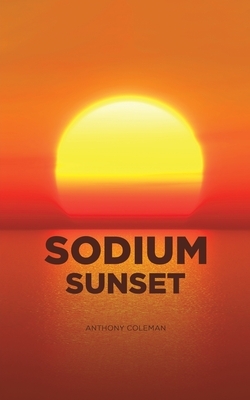 Sodium Sunset by Anthony Coleman