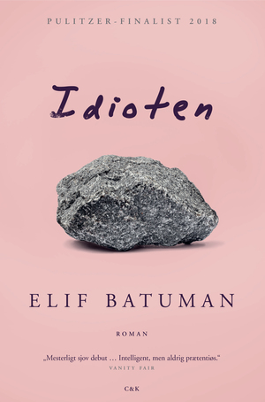 Idioten by Elif Batuman