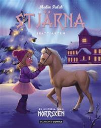 Nordlys: Stjärna Skattjakten by Malin Falch