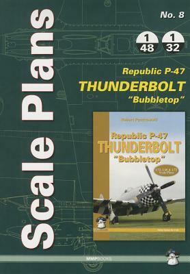 Republic P-47d 'bubbletop' by Dariusz Karnas