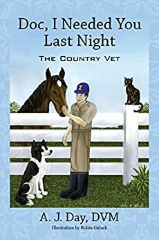 Doc, I Needed You Last Night: The Country Vet by A.J. Day