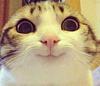 trinity_sandate's profile picture