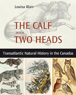 THE CALF WITH TWO HEADS by Louisa Blair