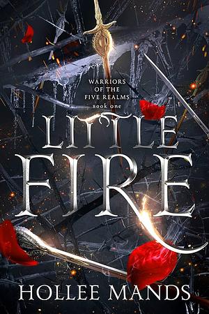 Little Fire by Hollee Mands