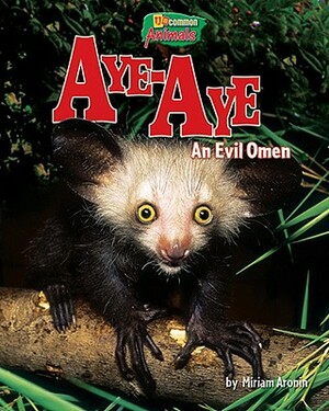 Aye-Aye: An Evil Omen by Miriam Aronin