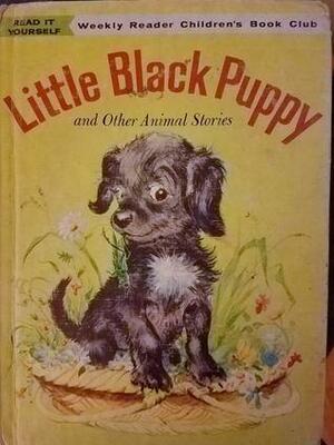 The Little Black Puppy and Other Animal Stories: Just For Fun / The Large and Growly Bear / The Funny Face / Where's Willy? / An Adventure by Seymour Reit, Patricia M. Scarry, Charlotte Zolotow, Gertrude Crampton