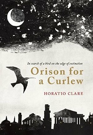 Orison for a Curlew: In Search for a Bird on the Edge of Extinction by Horatio Clare