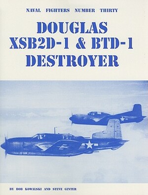 Douglas XSB2D-1 & BTD-1 Destroyer by Bob Kowalski