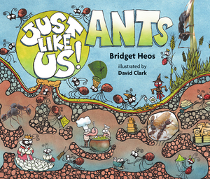 Just Like Us! Ants by Bridget Heos