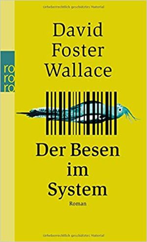 Der Besen im System by David Foster Wallace