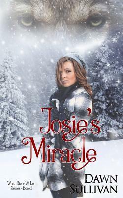 Josie's Miracle by Dawn Sullivan