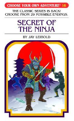 Secret of the Ninja by Jay Leibold