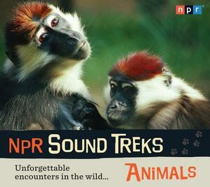 Animals: Unforgettable Encounters in the Wild... by Npr