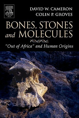 Bones, Stones and Molecules: Out of Africa and Human Origins by David Wayne Cameron, Colin P. Groves