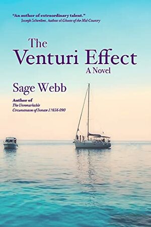 The Venturi Effect by Sage Webb