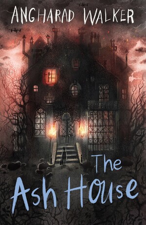 The Ash House by Angharad Walker
