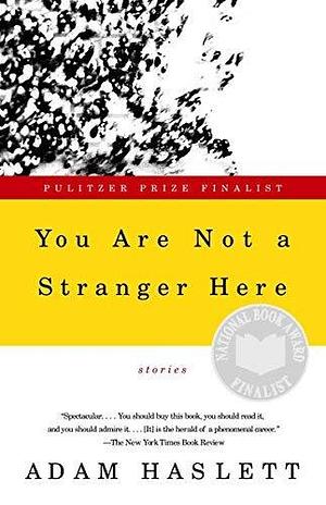 You Are Not a Stranger Here: Stories Reprint Edition by Haslett, Adam published by Anchor by Adam Haslett, Adam Haslett