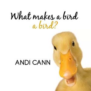 What Makes a Bird a Bird? by Andi Cann