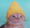misstea's profile picture