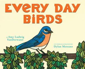 Every Day Birds by Amy Ludwig VanDerwater