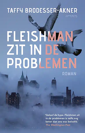 Fleishman zit in de problemen by Taffy Brodesser-Akner