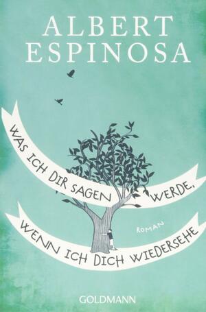 Was ich dir sagen werde, wenn ich dich wiedersehe by Albert Espinosa