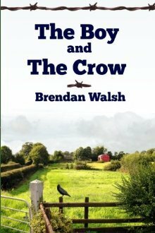 The Boy and the Crow by Brendan Walsh