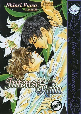 Intense Rain by Shinri Fuwa