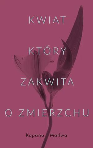 Kwiat, który zakwita o zmierzchu by Kopano Matlwa