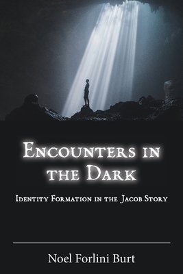 Encounters in the Dark: Identity Formation in the Jacob Story by Noel Forlini Burt