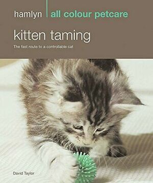 Kitten Taming by David Taylor