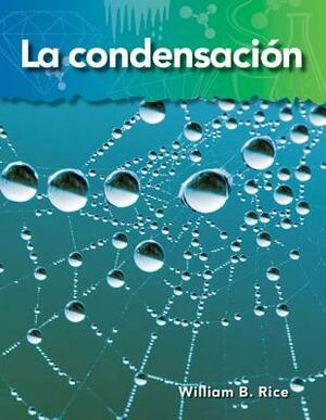 La Condensacion (Condensation) (Spanish Version) (Lo Basico de la Materia (Basics of Matter)) by William B. Rice