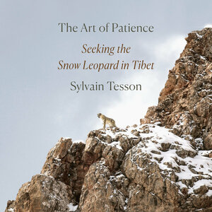 The Art of Patience: Seeking the Snow Leopard in Tibet by Sylvain Tesson