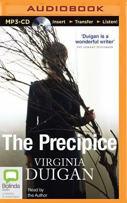 The Precipice by Virginia Duigan