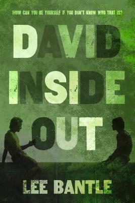 David Inside Out by Lee Bantle