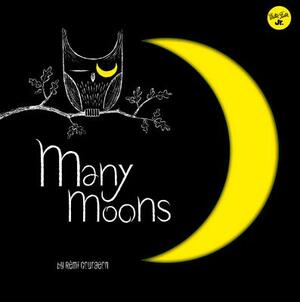 Many Moons: Learn about the Different Phases of the Moon by Remi Courgeon