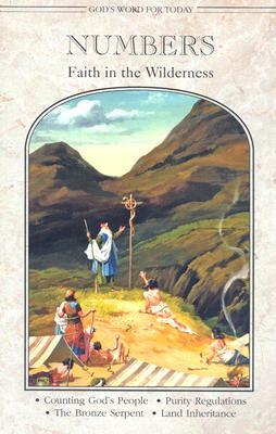 Numbers: Faith in the Wilderness by Timothy A. Rake