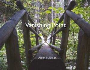 Vanishing Point by Aaron Ellison