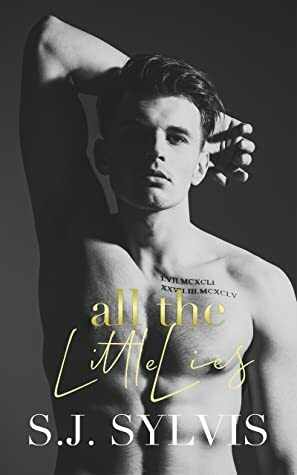 All the Little Lies: A High School Bully Romance by S.J. Sylvis