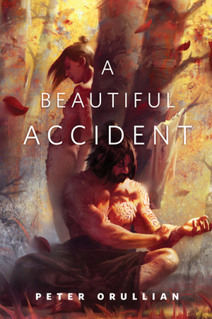 A Beautiful Accident by Peter Orullian