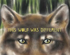 This Wolf Was Different by Katie Slivensky