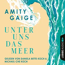 Unter Uns das Meer by Amity Gaige