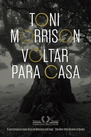 Voltar para Casa by Toni Morrison