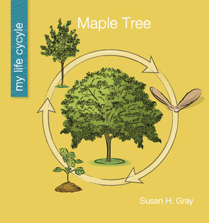 Maple Tree by Susan H. Gray