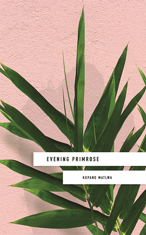 Evening Primrose by Kopano Matlwa