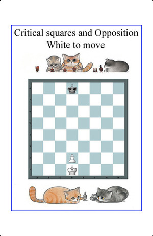 The most important Chess Pattern - Critical Squares by Rodolfo Pardi