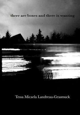 There Are Boxes and There Is Wanting by Tessa Micaela Landreau-Grasmuck
