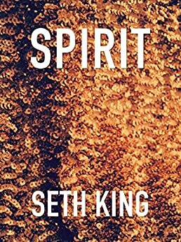 Spirit: A Straight Holiday Novella by Seth King