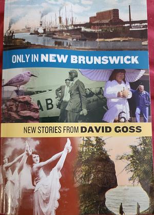 Only in New Brunswick: New Stories from David Goss by David Goss